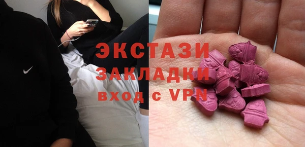 индика Беломорск