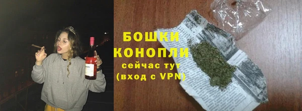 индика Беломорск
