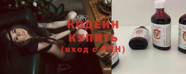 индика Беломорск