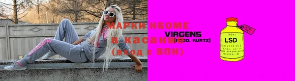 индика Беломорск