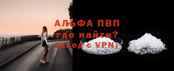 индика Беломорск