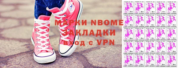 индика Беломорск
