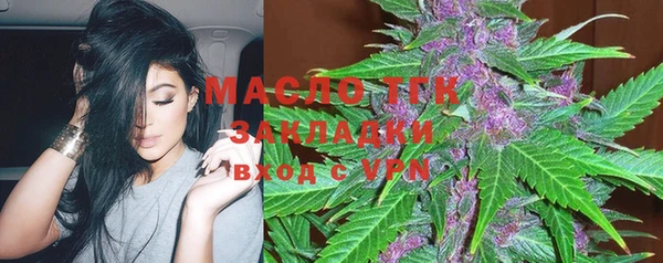 индика Беломорск