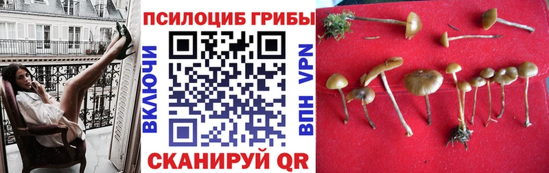 Псилоцибиновые грибы ЛСД  цена   Кукмор 